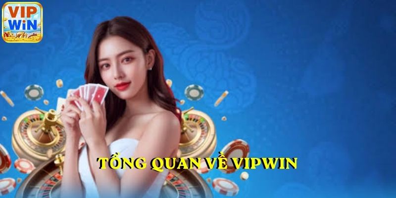 Tổng quan về VIPWIN